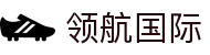 领航国际-专注品牌营销影视制作文化公司